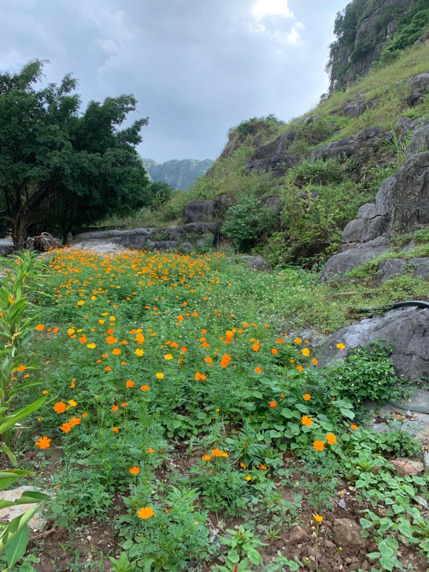 Lake Retreat Ninh Binh Exterior photo