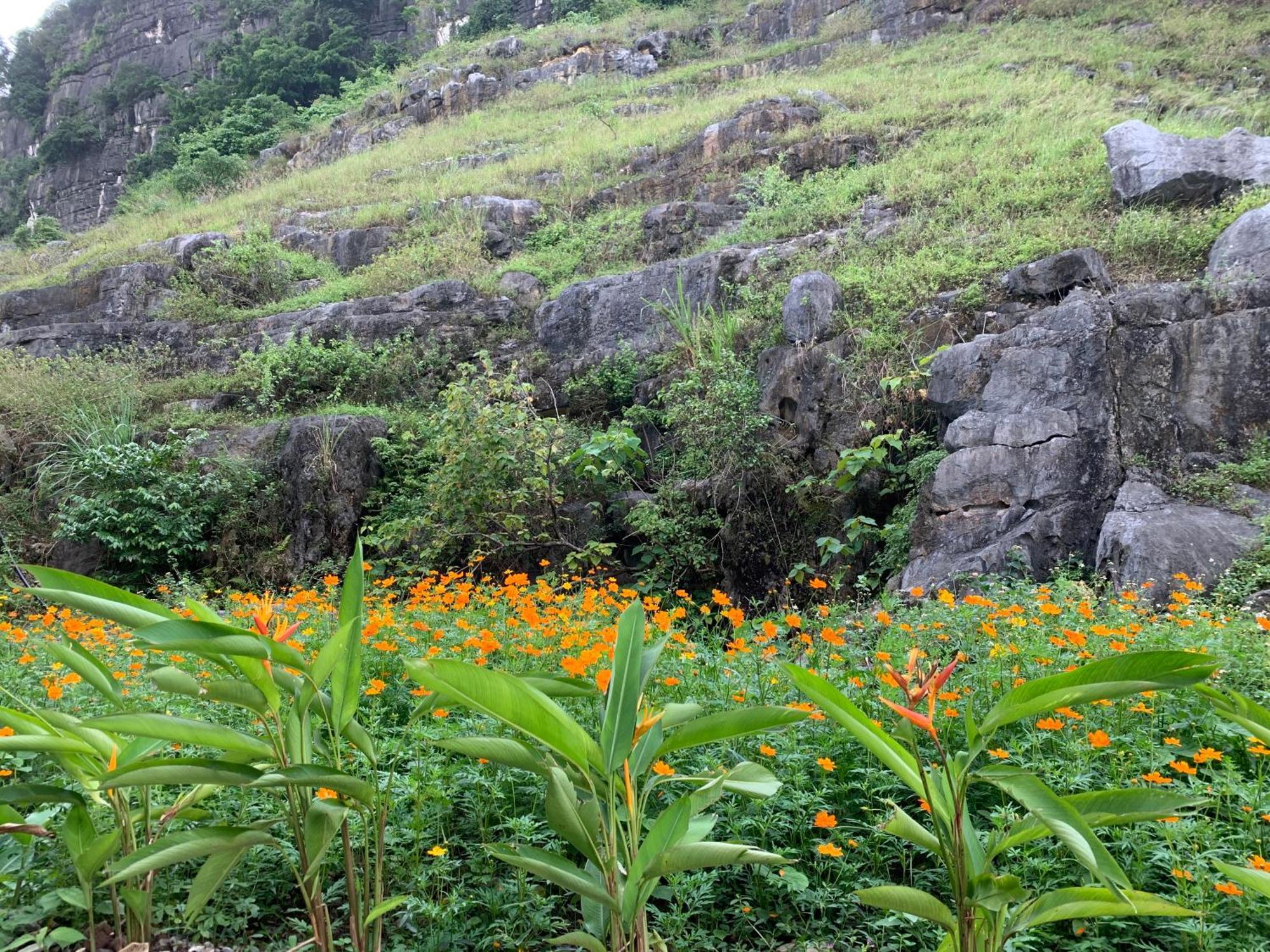 Lake Retreat Ninh Binh Exterior photo